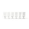 Set 6 Bicchieri Birra Forme Assortite